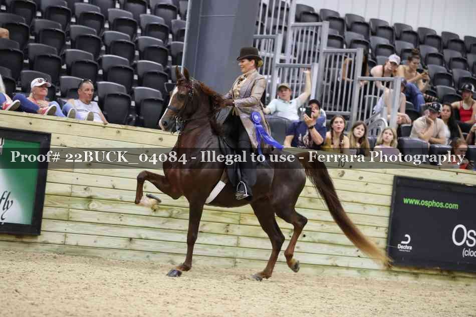 Proof 22BUCK_04084
