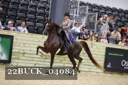 22BUCK_04084 proof