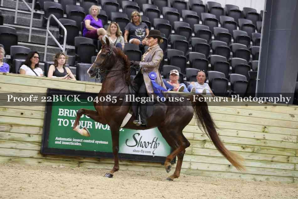 Proof 22BUCK_04085