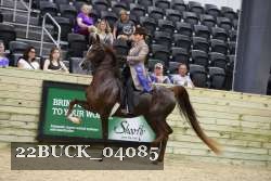 22BUCK_04085 proof