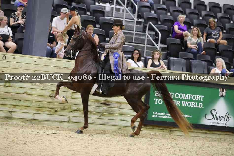 Proof 22BUCK_04086