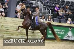 22BUCK_04086 proof