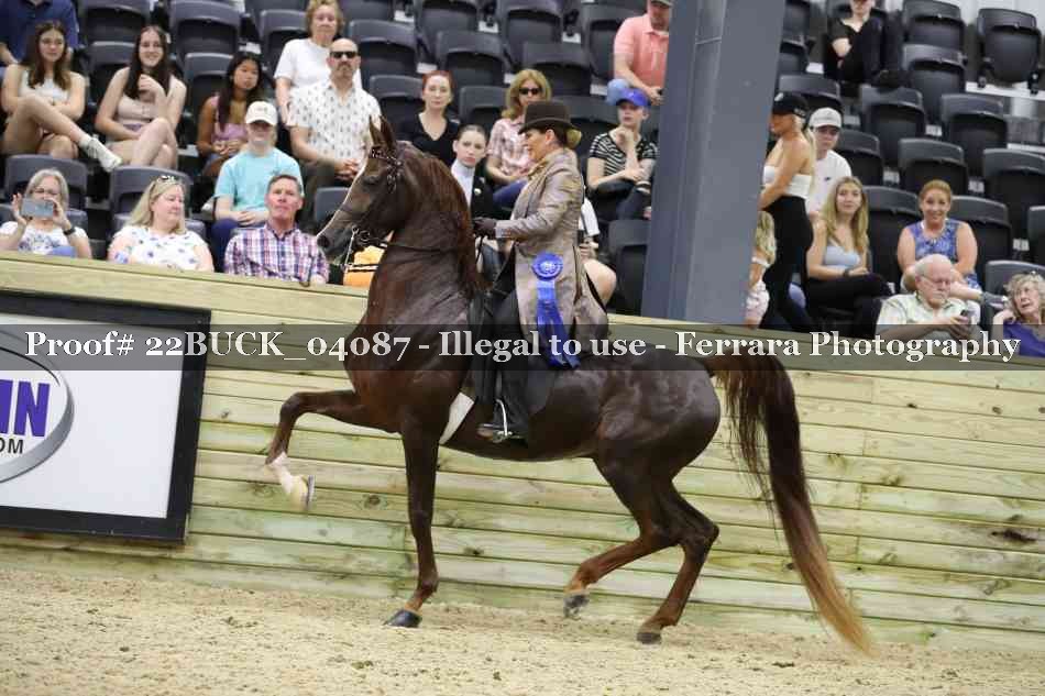 Proof 22BUCK_04087