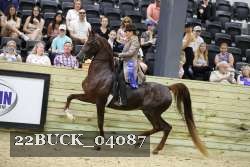22BUCK_04087 proof