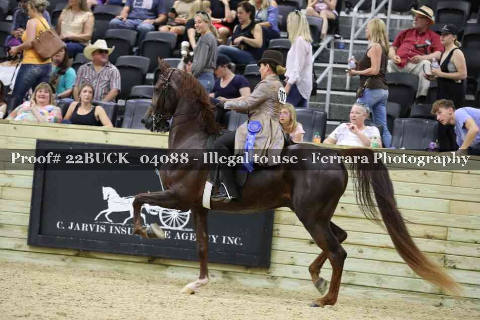 Proof 22BUCK_04088