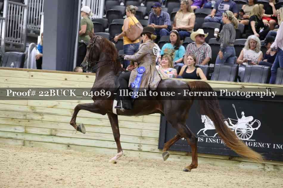 Proof 22BUCK_04089