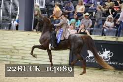 22BUCK_04089 proof
