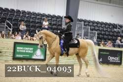 22BUCK_04095 proof
