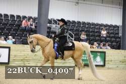 22BUCK_04097 proof