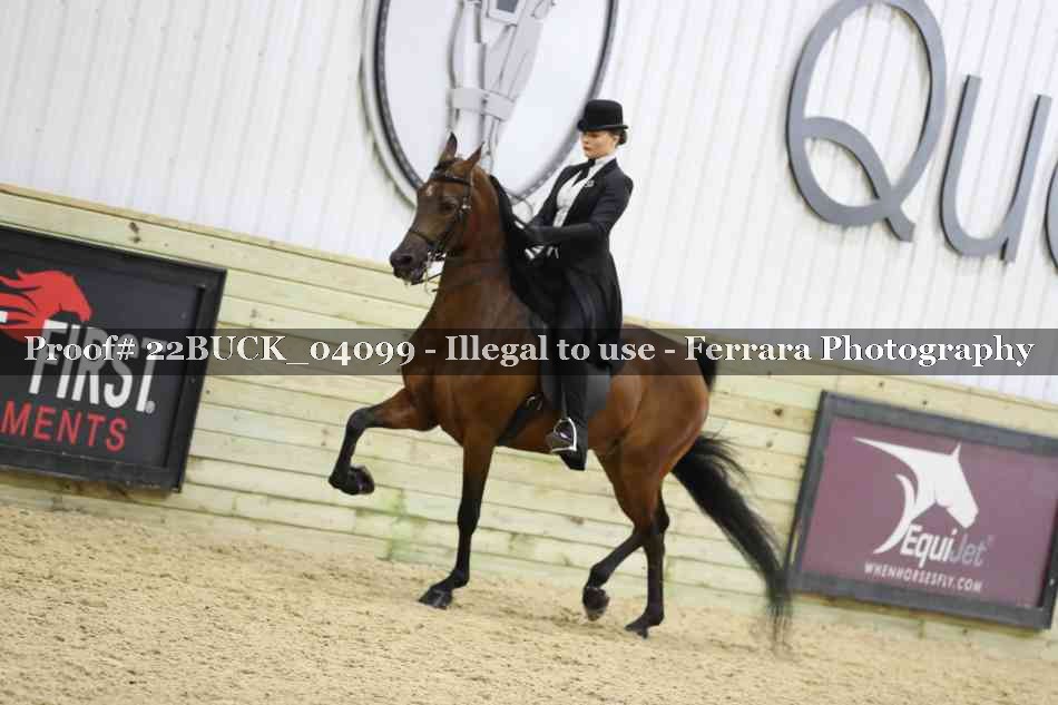 Proof 22BUCK_04099