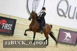 22BUCK_04099 proof