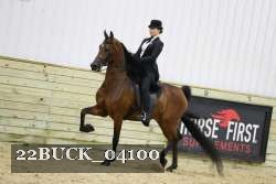 22BUCK_04100 proof