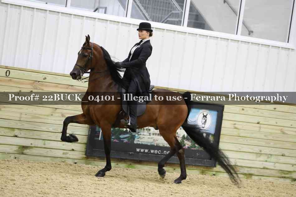 Proof 22BUCK_04101
