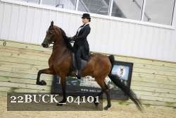 22BUCK_04101 proof