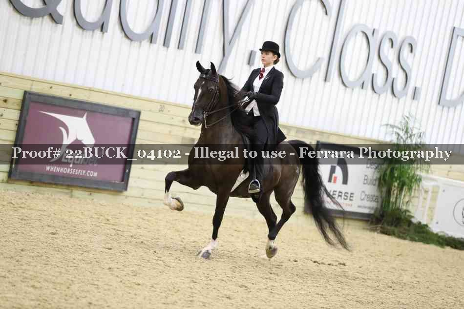 Proof 22BUCK_04102