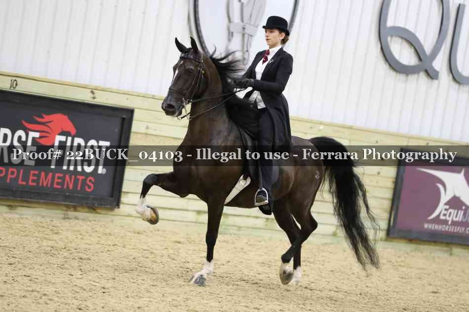 Proof 22BUCK_04103
