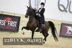 22BUCK_04103 proof