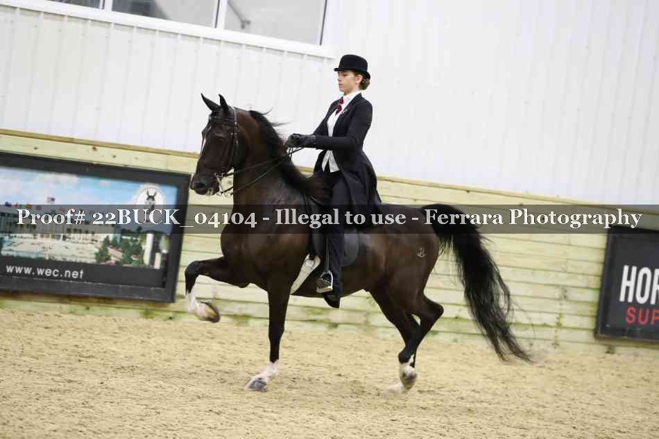 Proof 22BUCK_04104