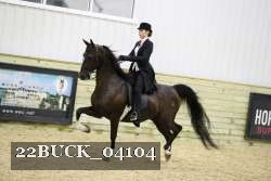 22BUCK_04104 proof