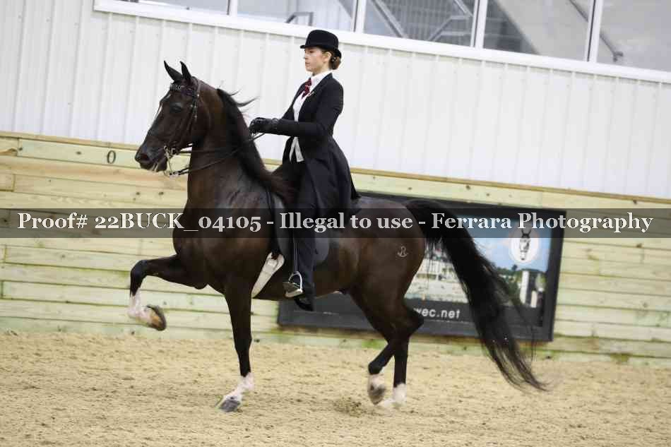 Proof 22BUCK_04105
