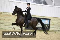 22BUCK_04105 proof