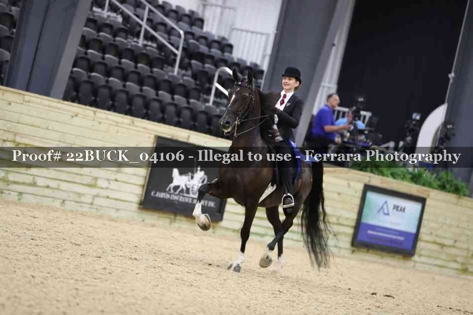 Proof 22BUCK_04106