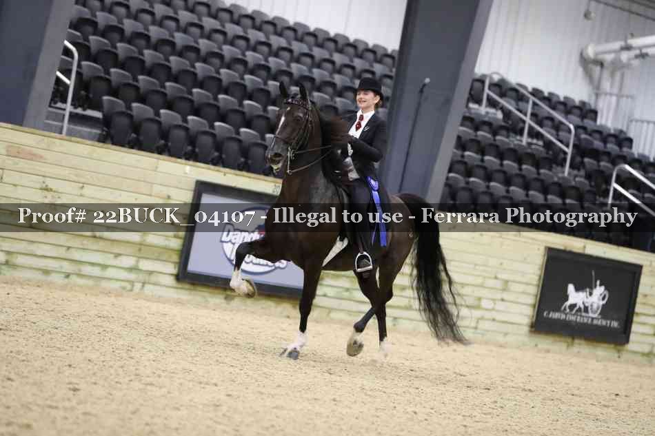 Proof 22BUCK_04107