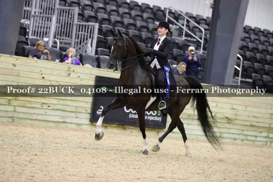 Proof 22BUCK_04108