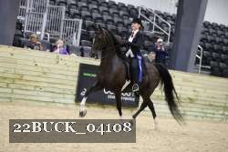 22BUCK_04108 proof