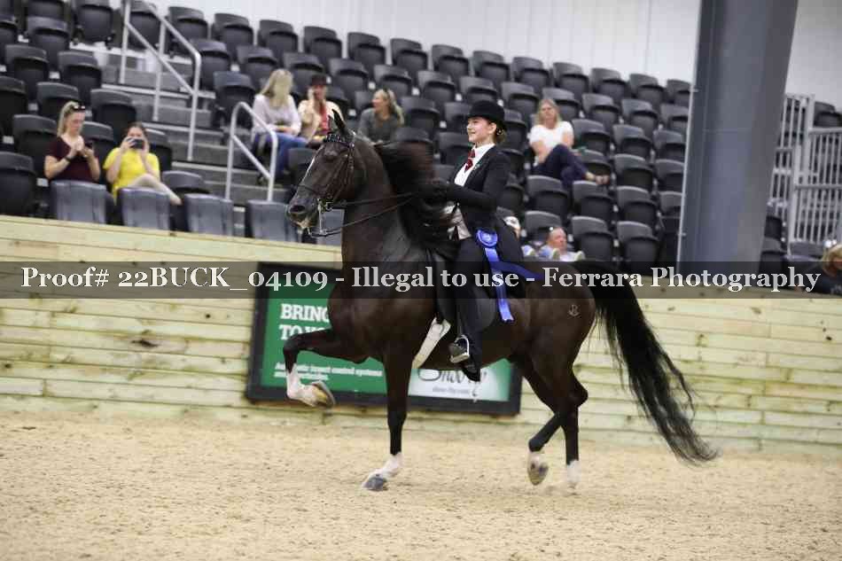 Proof 22BUCK_04109