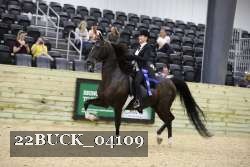 22BUCK_04109 proof
