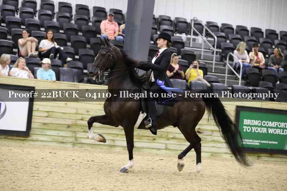 Proof 22BUCK_04110
