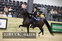 22BUCK_04110 proof