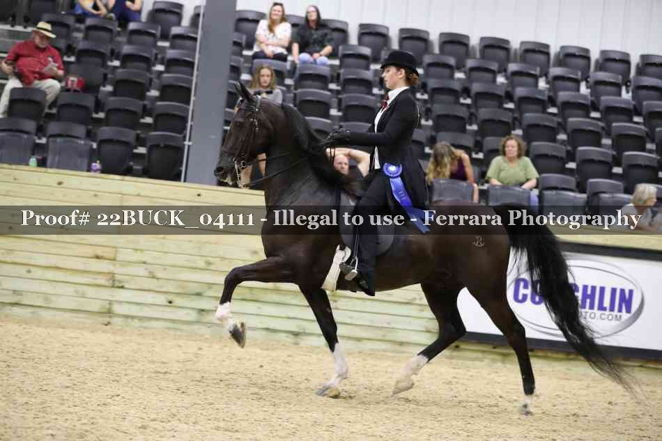 Proof 22BUCK_04111