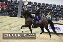 22BUCK_04111 proof
