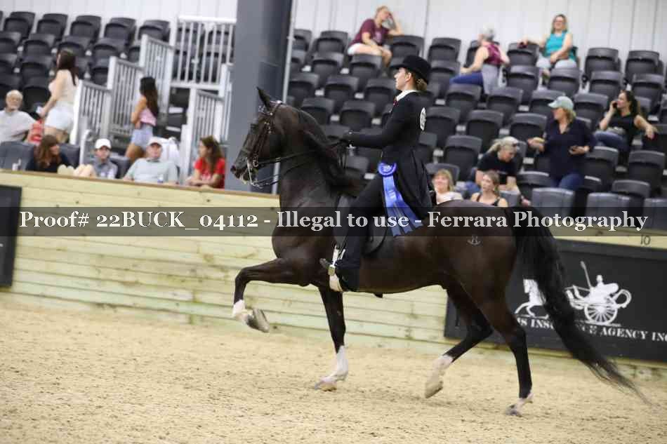 Proof 22BUCK_04112