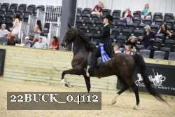 22BUCK_04112 proof