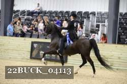 22BUCK_04113 proof