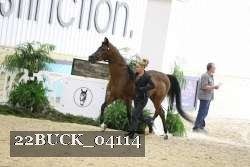 22BUCK_04114 proof