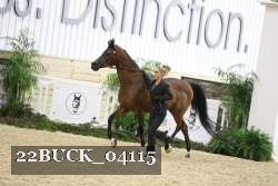 22BUCK_04115 proof