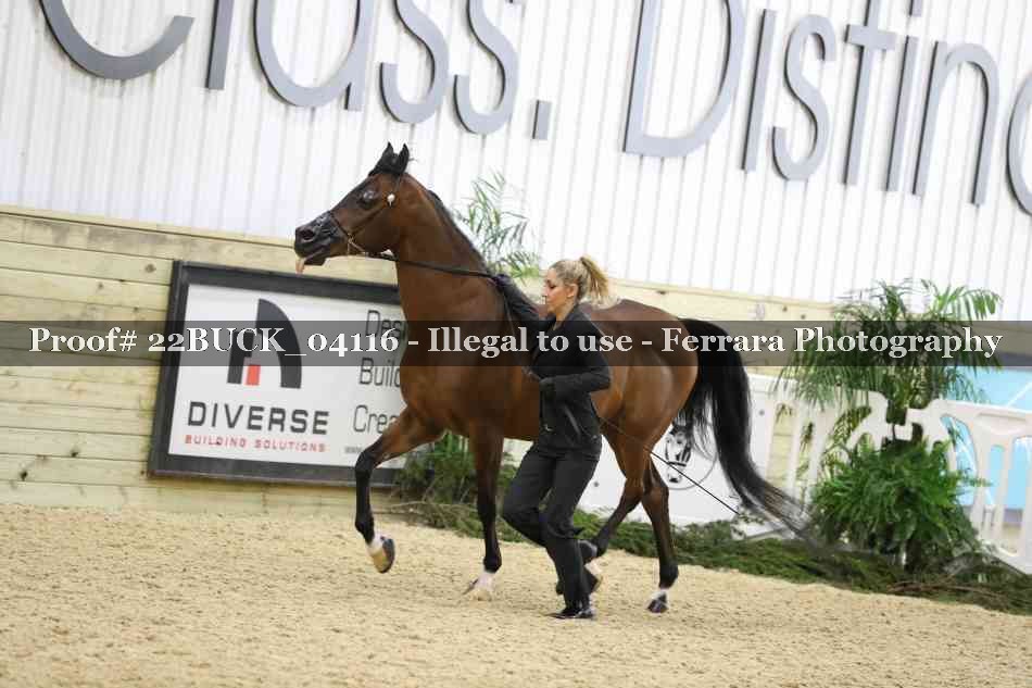 Proof 22BUCK_04116