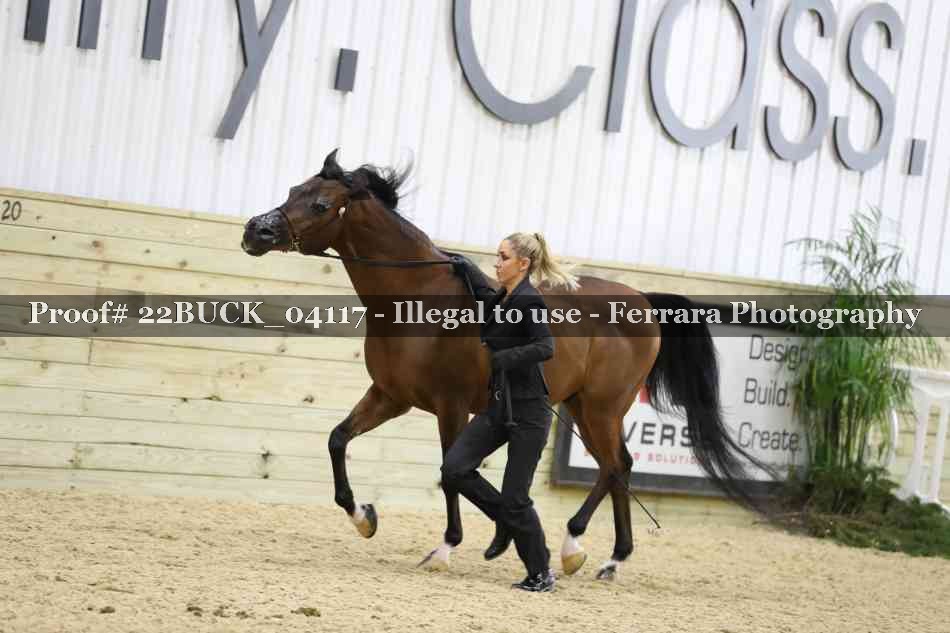 Proof 22BUCK_04117