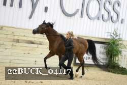 22BUCK_04117 proof