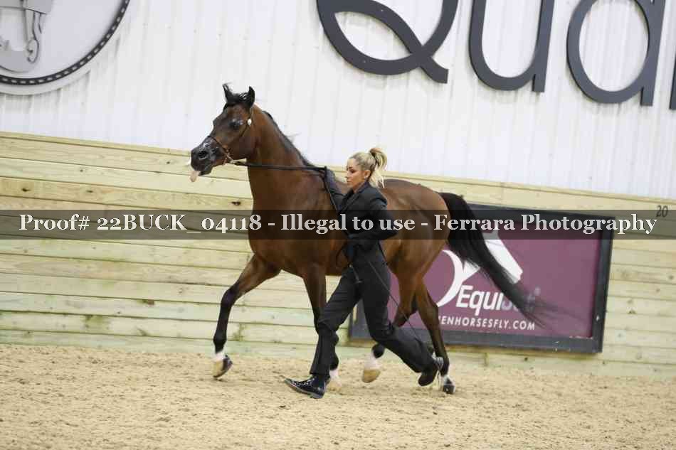 Proof 22BUCK_04118