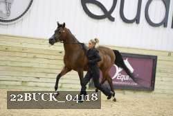 22BUCK_04118 proof