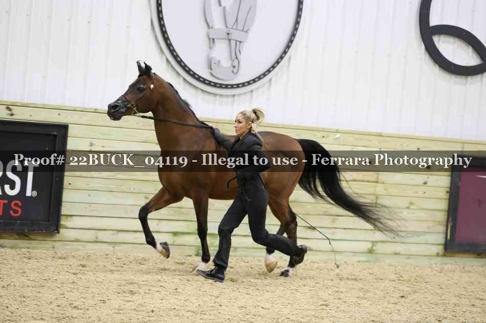 Proof 22BUCK_04119