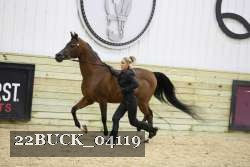 22BUCK_04119 proof