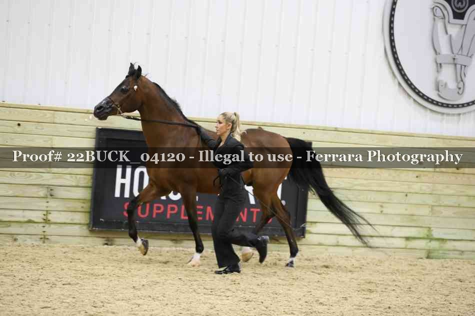 Proof 22BUCK_04120