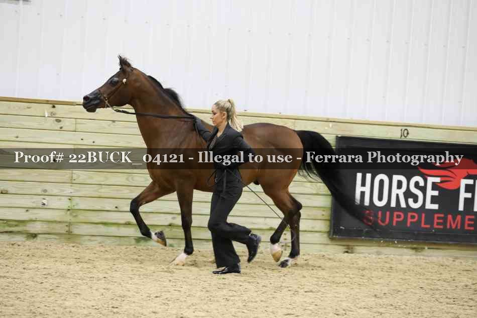 Proof 22BUCK_04121