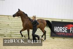 22BUCK_04121 proof